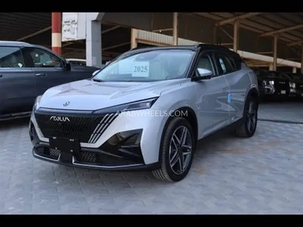 دونغ فينغ شاين 2024 for Sale in الدمام Image-3