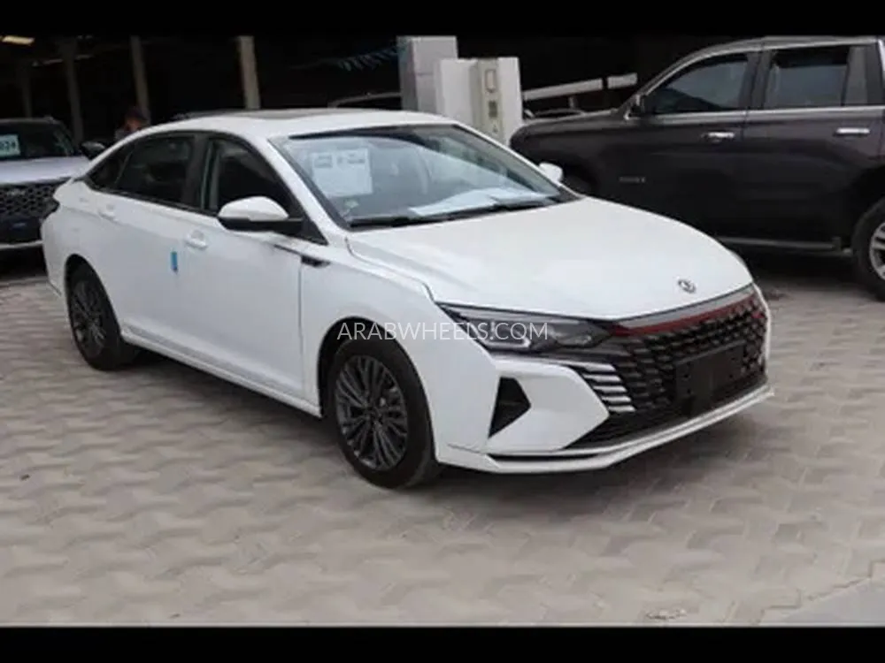 دونغ فينغ شاين 2024 for Sale in الدمام Image-1
