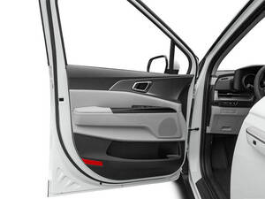 كيا كرنفال الداخلية 