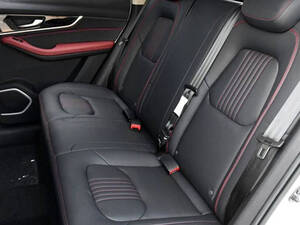 بيستون T33 الداخلية 