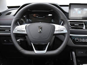 بيستون T33 الداخلية 