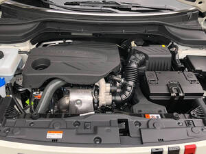 سانج يونج تيفولي الخارجية 