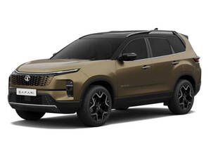 تاتا السفاري