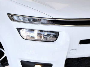 سيتروين C4 بيكاسو الخارجية 